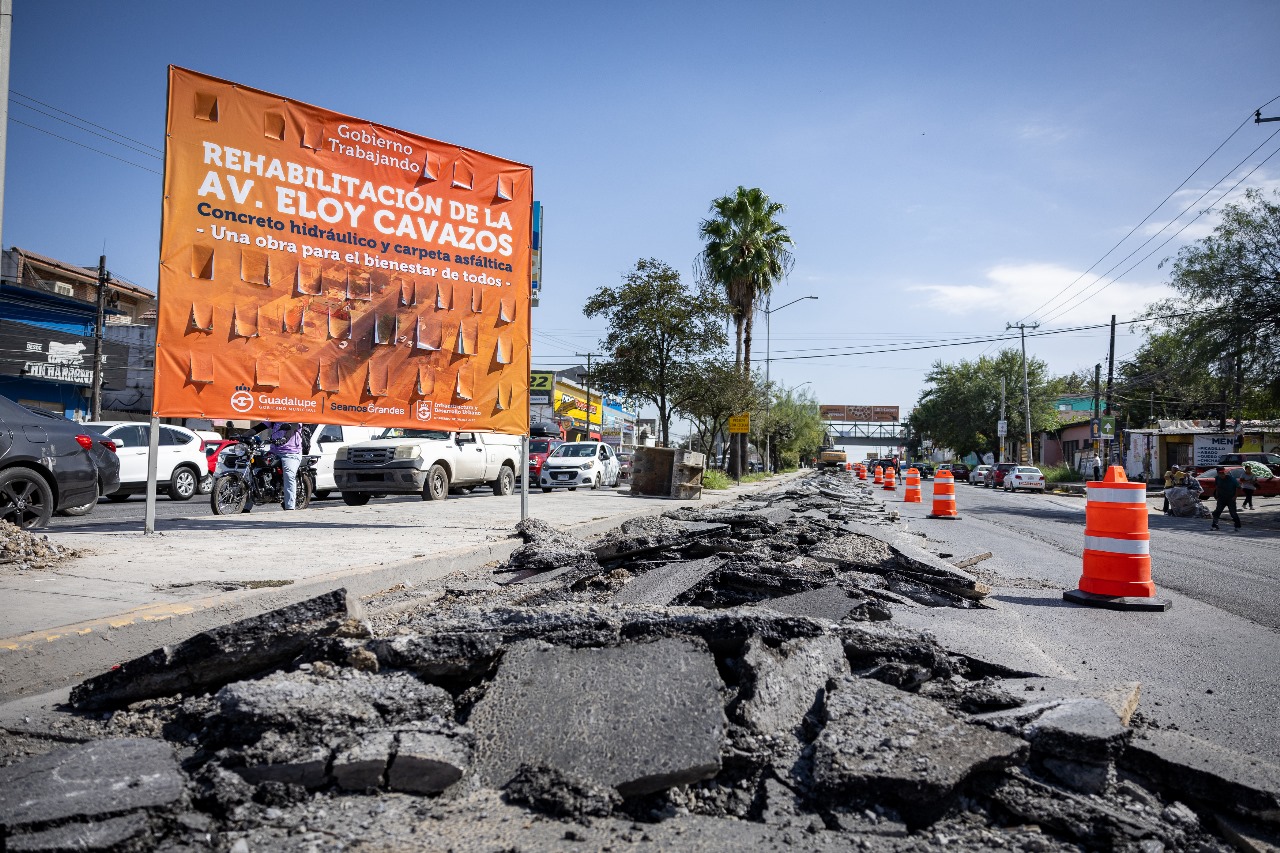 WhatsApp Image 2024-11-12 at 11.02.30 (3)